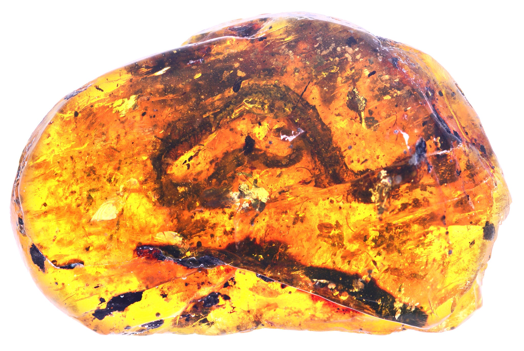 Amber Stone Meaning: Healing Properties, Uses, & Benefits