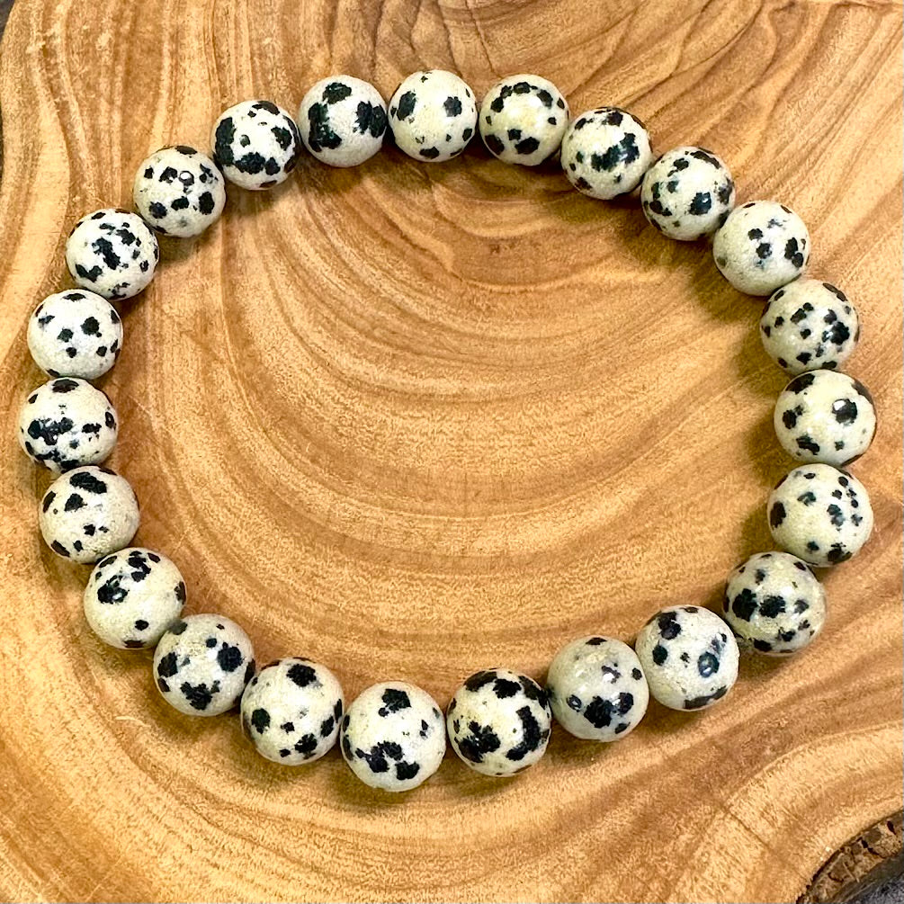 Dalmatian Jasper Nurturing & Playful 10mm Stretch Bracelet