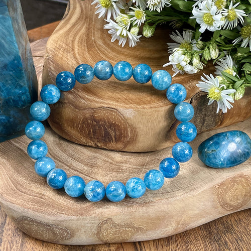 Blue Apatite Manifestation & Motivation Premium Collection 8mm Stretch Bracelet